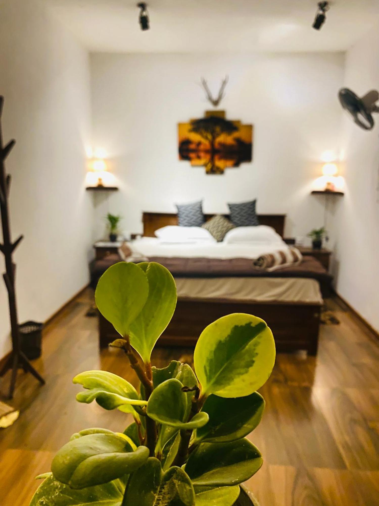 The Kingdom Of Ella Appartement Buitenkant foto