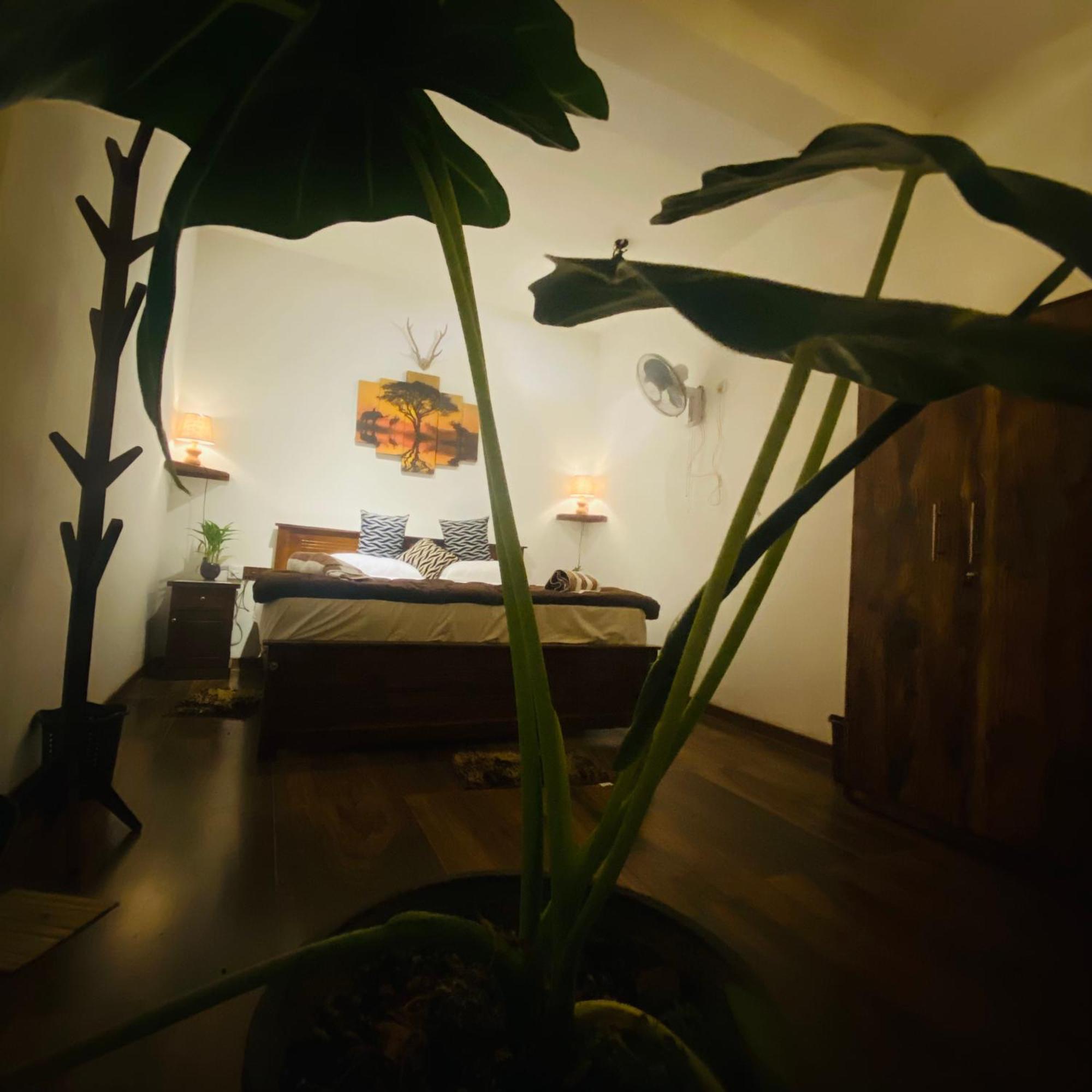 The Kingdom Of Ella Appartement Buitenkant foto